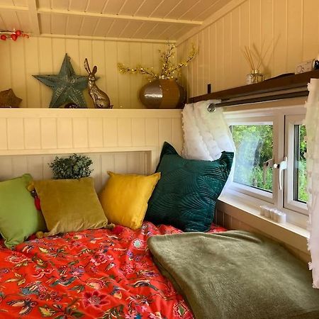 Neddys Rest Luxury Horsebox Stay Баттл Экстерьер фото